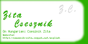 zita csesznik business card